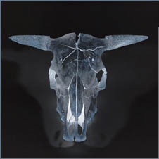 ox